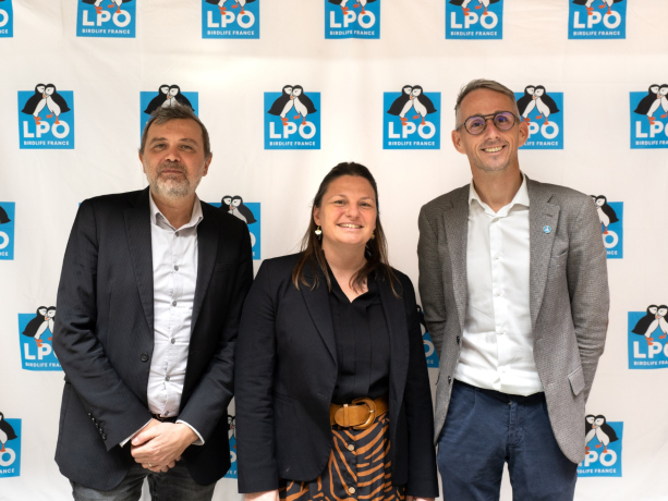 Olivier Denoue, Vanessa Lorioux et Cédric Marteau